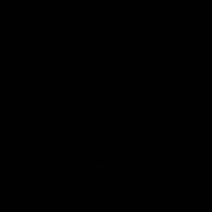 Meet your Posher, Luba